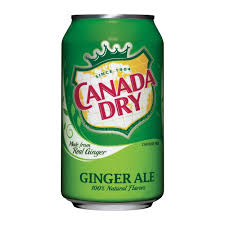 ADIC GINGER ALE 355 ML