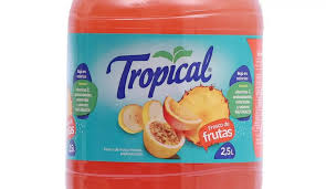 ADIC TROPICAL TE FRIO MELOCOTON 355ML